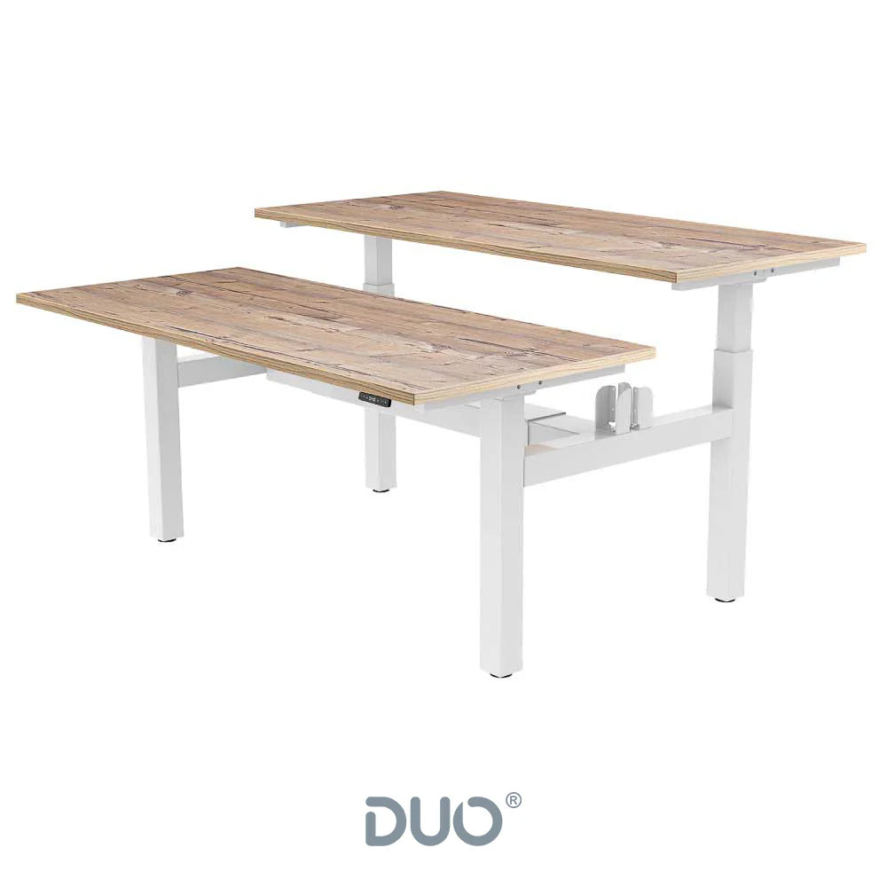 Yo-Yo DESK DUO Back-2-Back Height Adjustable Standing Desk