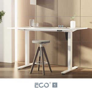 ECO 1