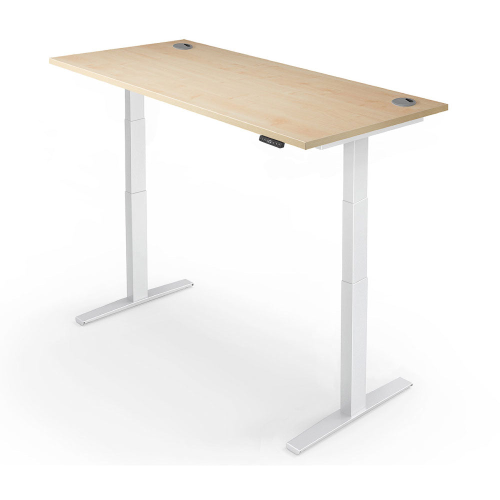 Yo-Yo DESK PRO 2+ Dual Motor Electric Adjustable Standing Desk