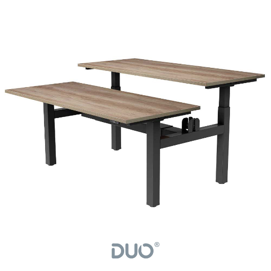 Yo-Yo DESK DUO Back-2-Back Height Adjustable Standing Desk
