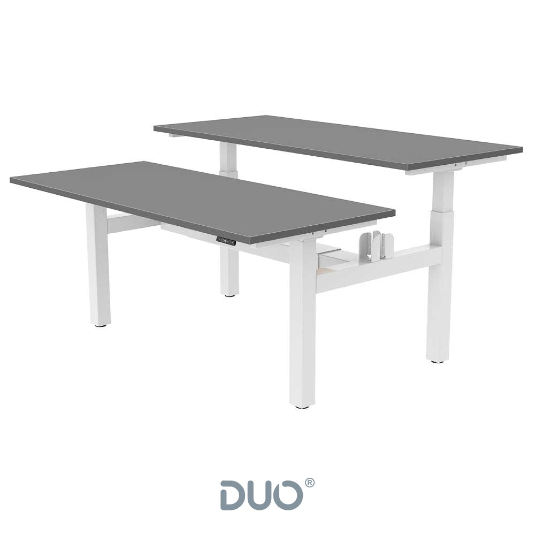 Yo-Yo DESK DUO Back-2-Back Height Adjustable Standing Desk